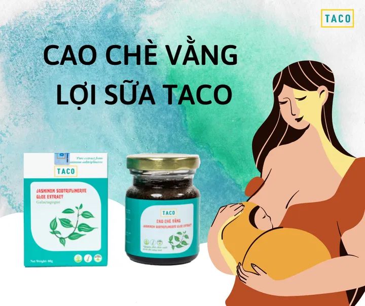 cao chè vằng cao chè vằng