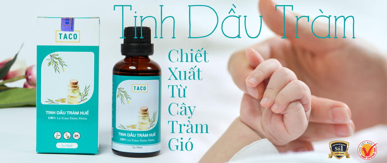 tinh dầu tràm huế tinh dầu tràm huế